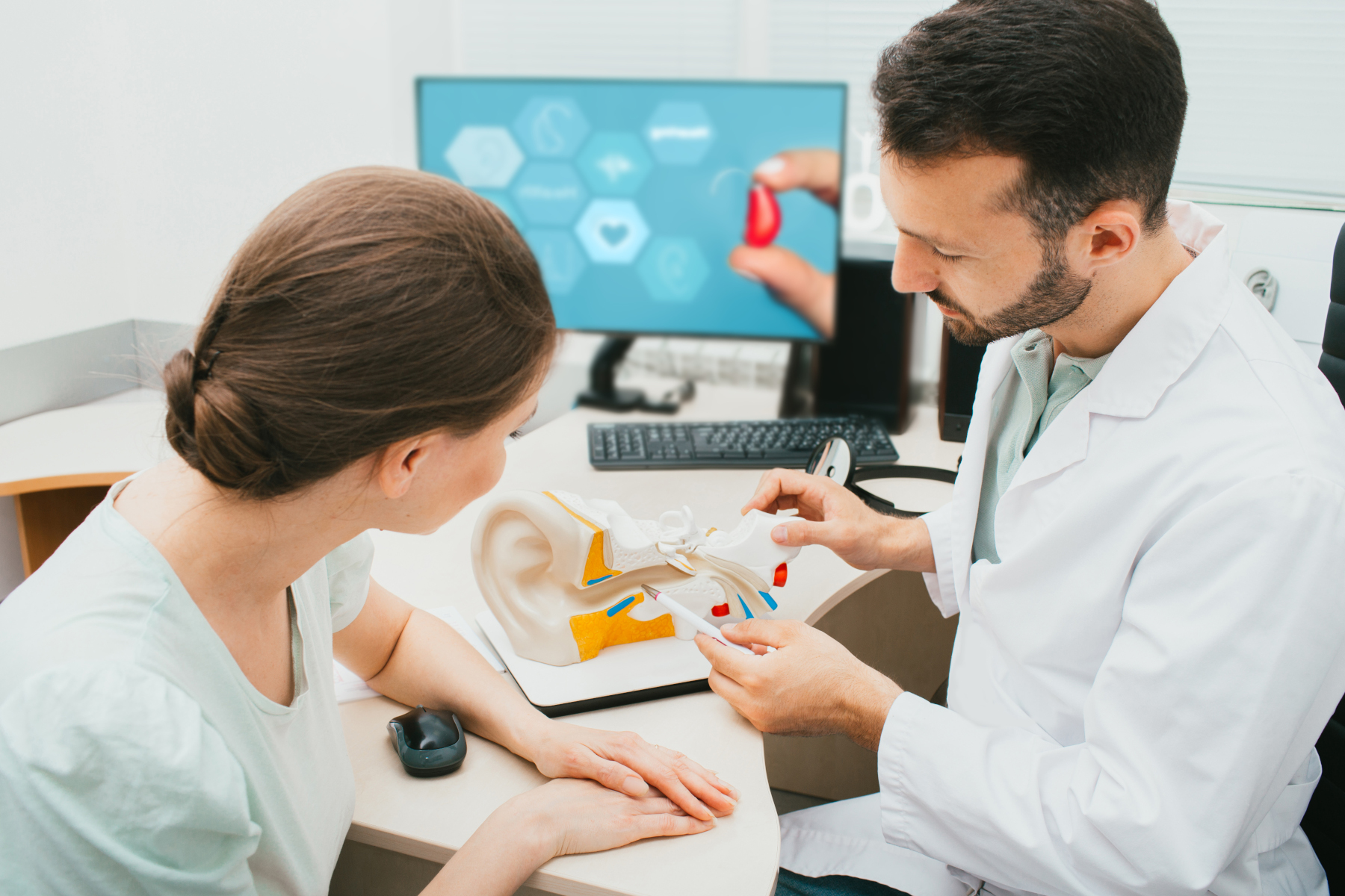deux docteurs observant une maquette d'oreille interne